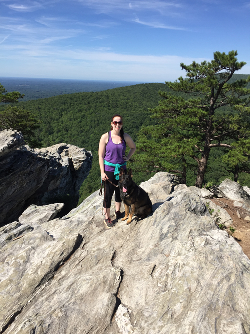 German Shepherd breeders in Asheville, NC